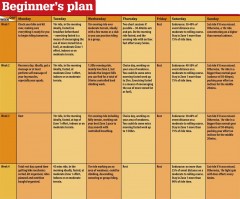 01-beginners-guide-b 01-beginners-guide-b